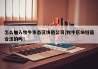怎么加入牧牛生态区块链公司[牧牛区块链是合法的吗]